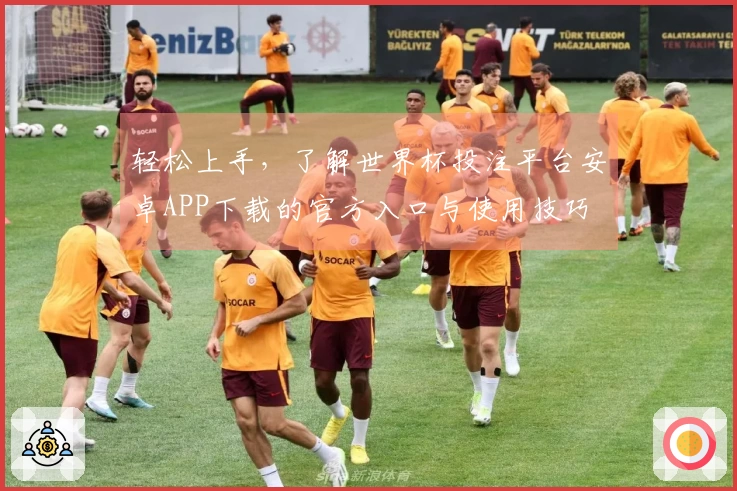 轻松上手，了解世界杯投注平台安卓APP下载的官方入口与使用技巧