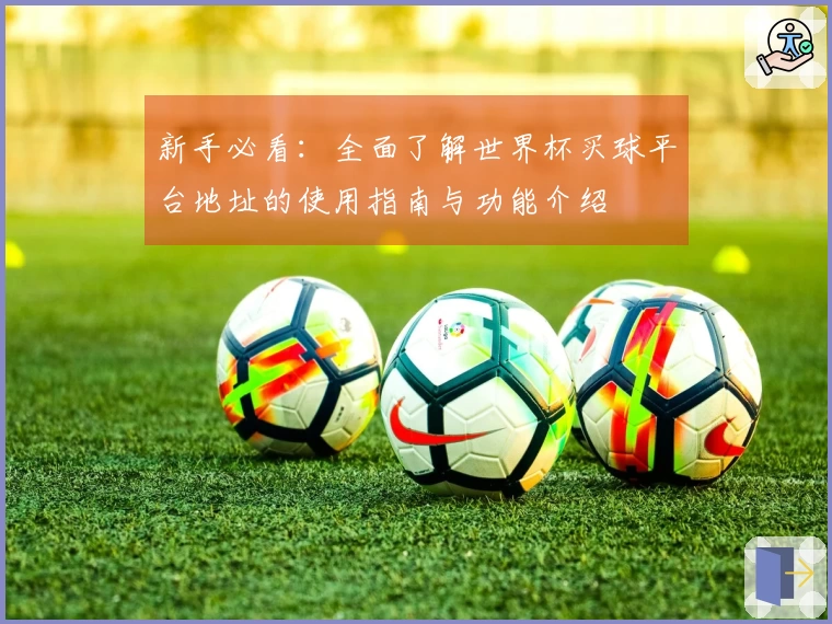 新手必看：全面了解世界杯买球平台地址的使用指南与功能介绍