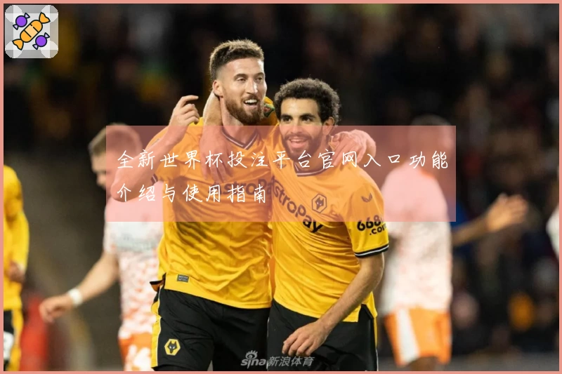 全新世界杯投注平台官网入口功能介绍与使用指南