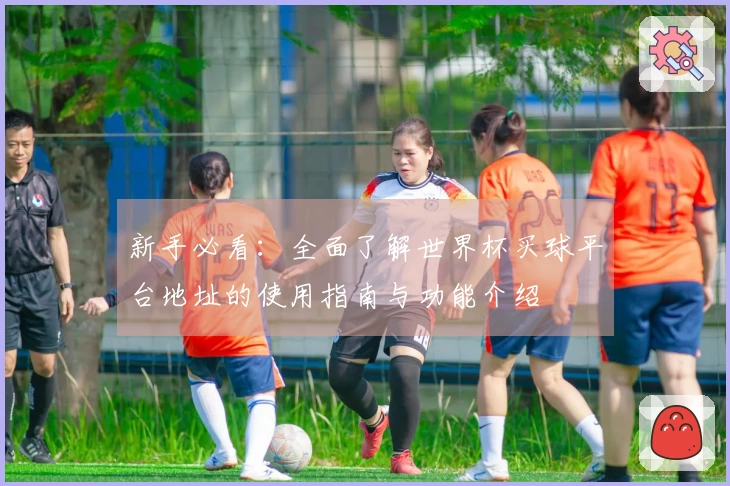 新手必看：全面了解世界杯买球平台地址的使用指南与功能介绍