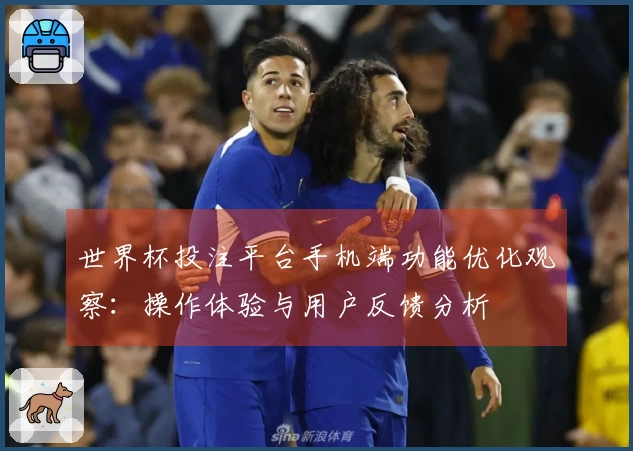 世界杯投注平台手机端功能优化观察：操作体验与用户反馈分析