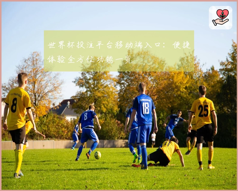 世界杯投注平台移动端入口：便捷体验全方位功能一览